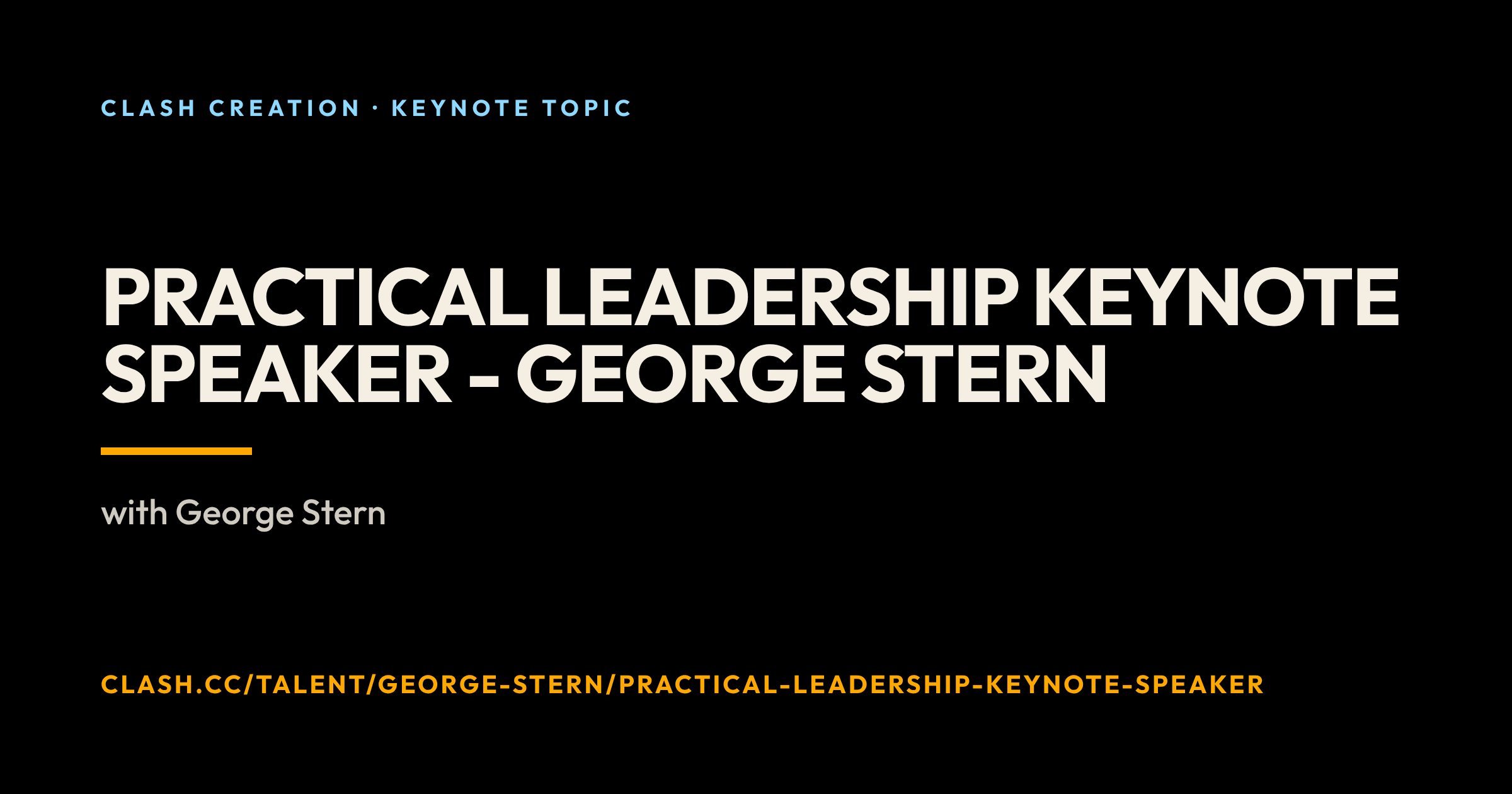Practical Leadership Keynote Speaker - George Stern
